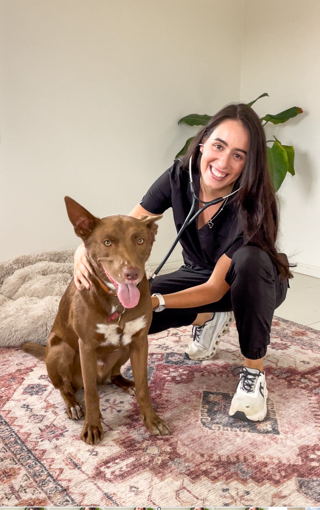 Why Vets Love Our Scrubs